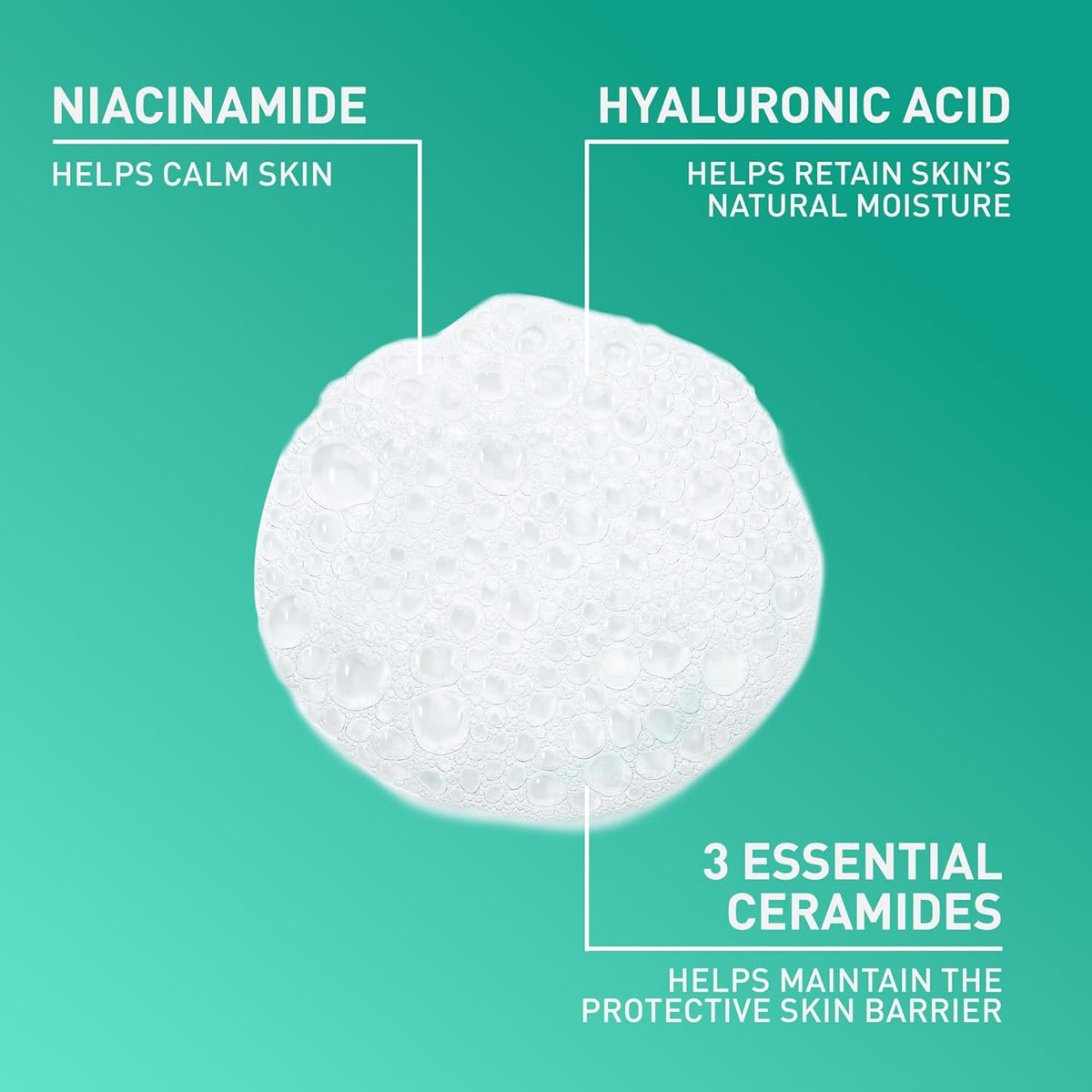 Foaming Facial Cleanser, Gentle Cleanser for Oily Skin, 19Oz