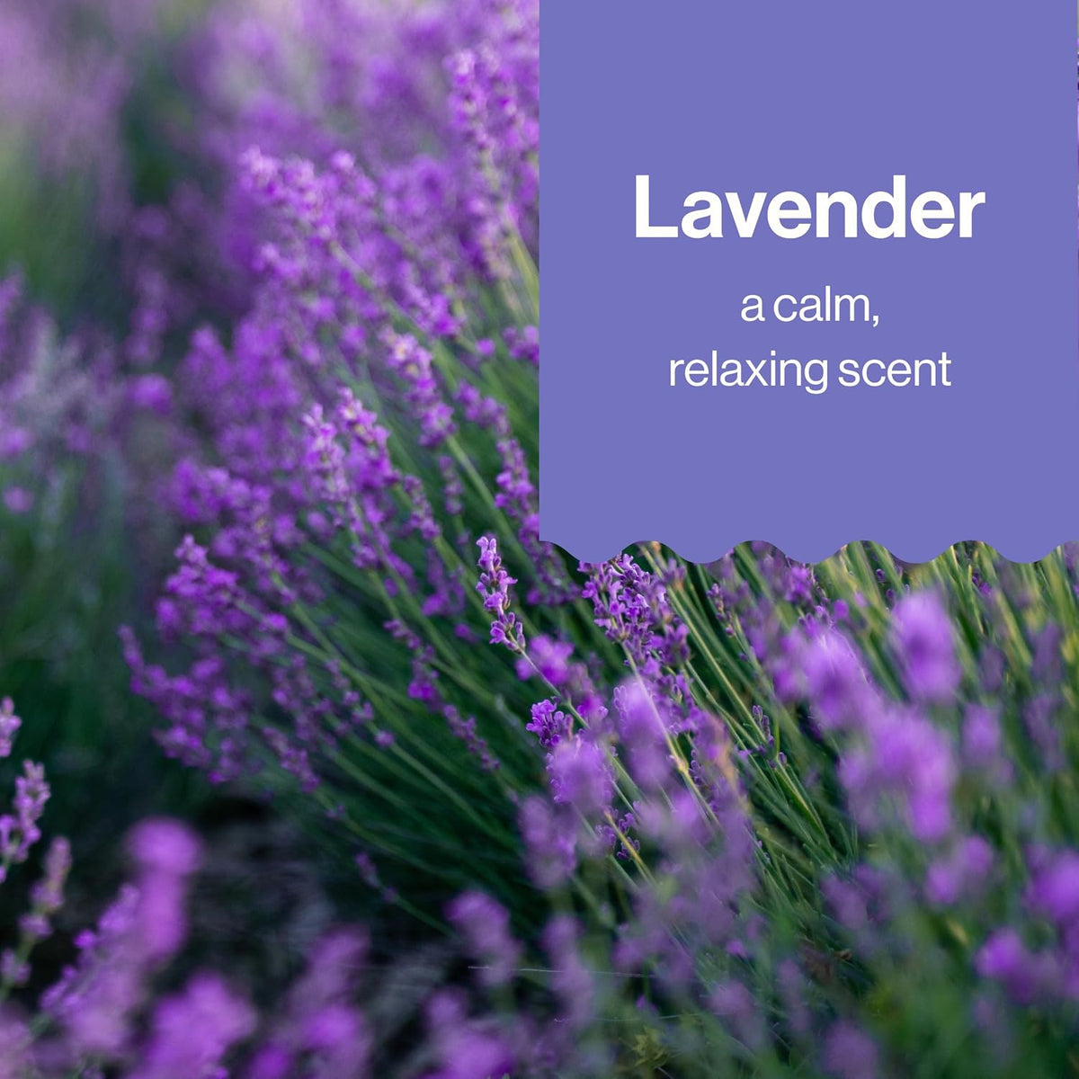 Bubble Bath, Hypoallergenic, Lavender Calm, 32 Fl Oz